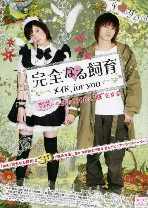 Perfect Education: Maid, for You poster