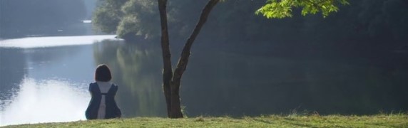 screen capture of Heavenly Forest