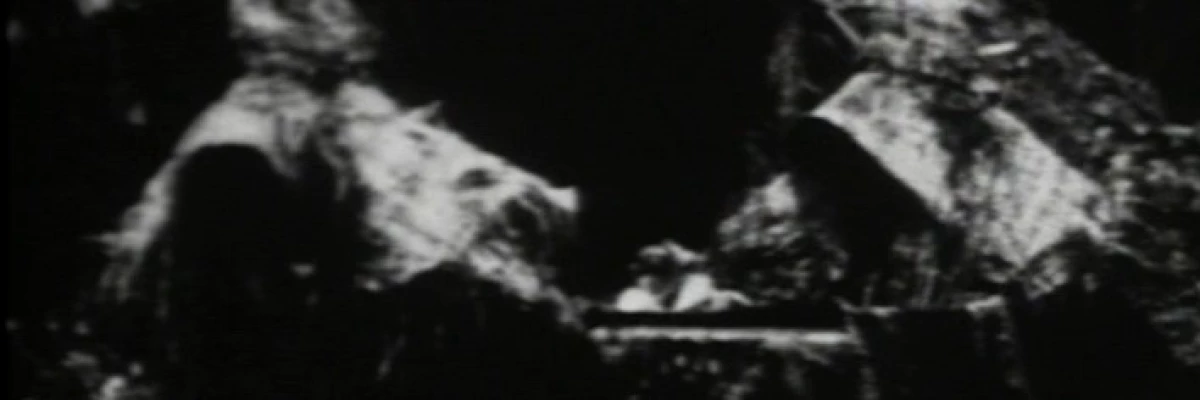 screencap of Begotten