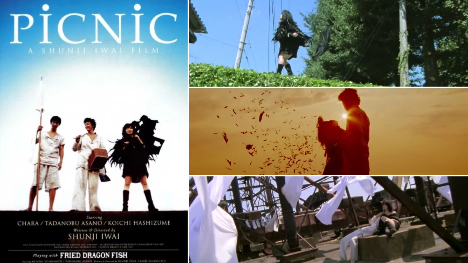 Picnic review