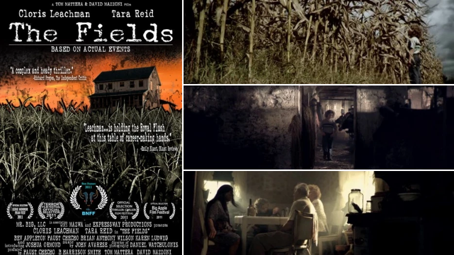 The Fields review