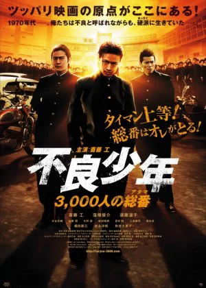 The Total Number of 3000 Juvenile Delinquents poster