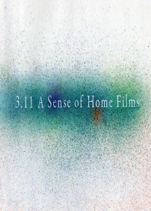 3.11 Sense of Home poster