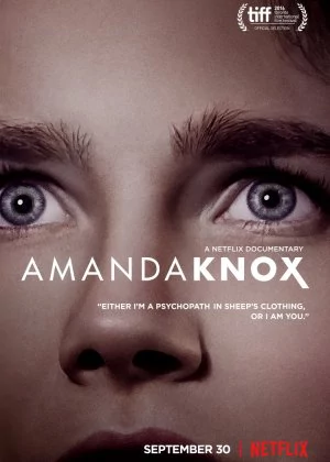 Amanda Knox poster