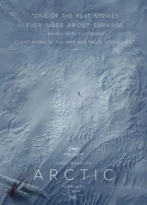 Arctic poster