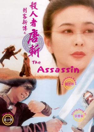 The Assassin poster