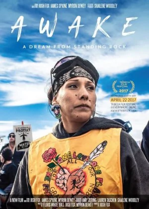 Awake, a Dream from Standing Rock poster
