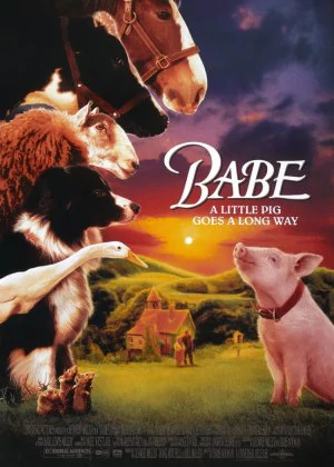 Babe poster