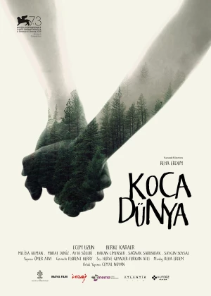 Big Big World poster