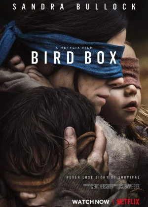 Bird Box poster