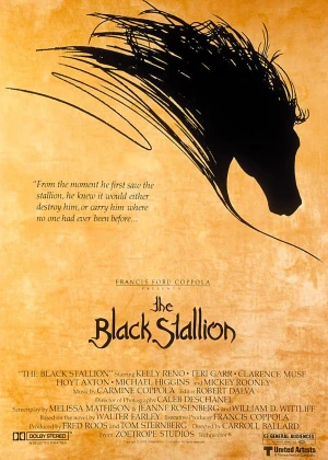The Black Stallion poster