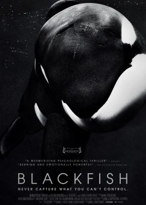 Blackfish poster