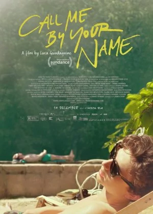 Call Me by Your Name poster