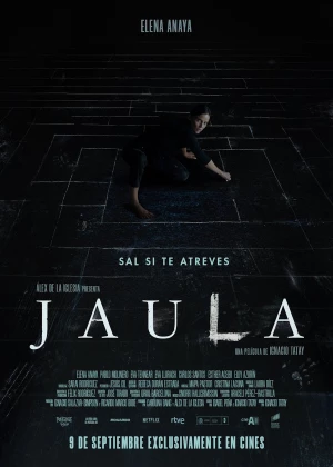 The Chalk Line poster