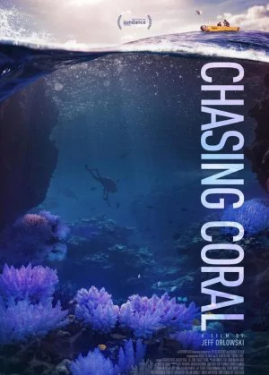 Chasing Coral poster