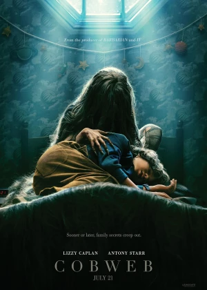 Cobweb poster