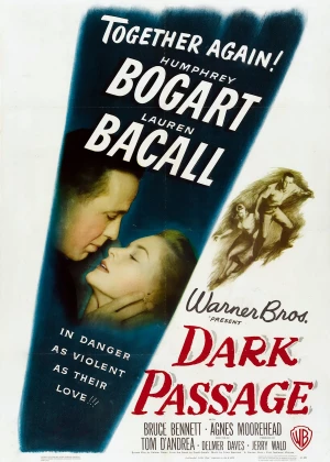 Dark Passage poster