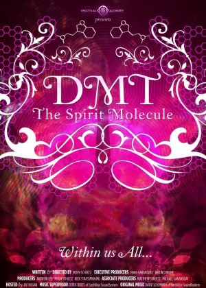 DMT: The Spirit Molecule poster