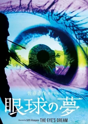 The Eye's Dream poster