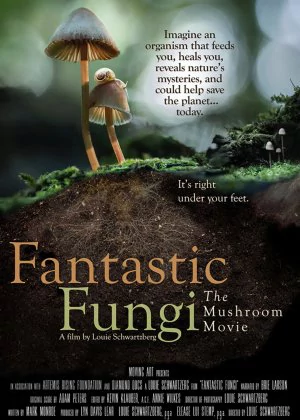 Fantastic Fungi poster