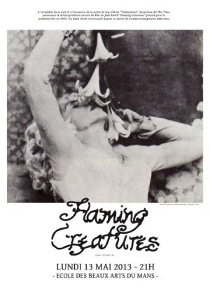 Flaming Creatures poster