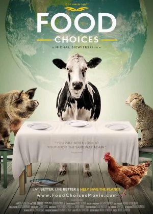 Food Choices poster