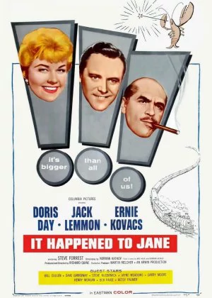 It Happened to Jane poster