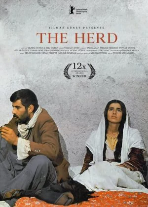 The Herd poster