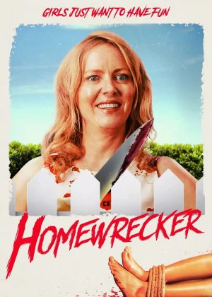 Homewrecker poster