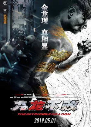 The Invincible Dragon poster