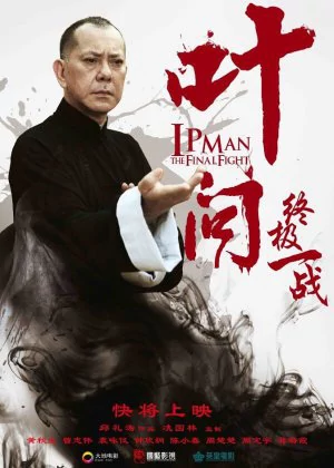 Ip Man: The Final Fight poster