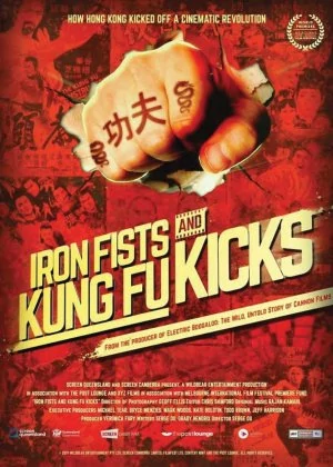 Iron Fists and Kung Fu Kicks poster