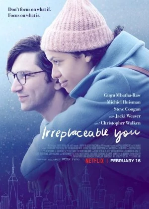 Irreplaceable You poster