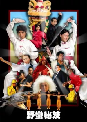My Kung Fu Sweetheart poster