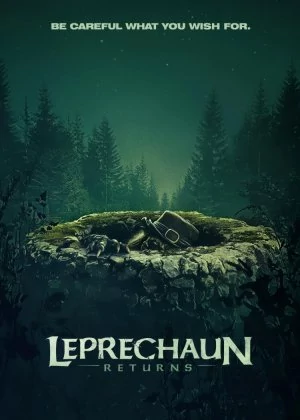 Leprechaun Returns poster