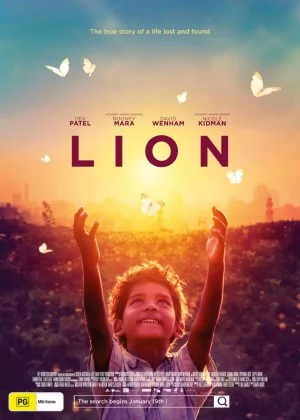 Lion poster