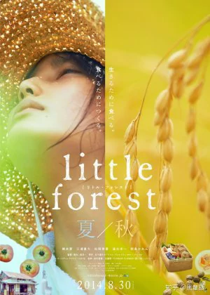 Little Forest: Summer/Autumn poster