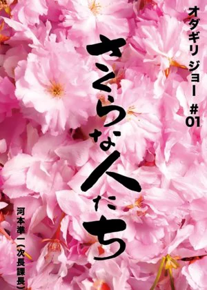Looking for Cherry Blossoms poster