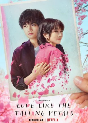 Love Like the Falling Petals poster