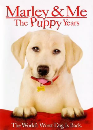 Marley & Me: The Puppy Years poster