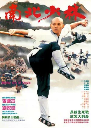 Martial Arts of Shaolin poster