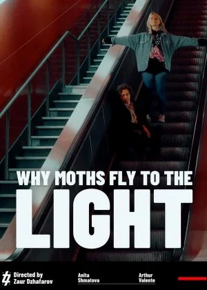 Why Moths Fly to the Light? poster