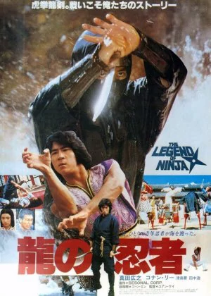 Ninja in the Dragon's Den poster
