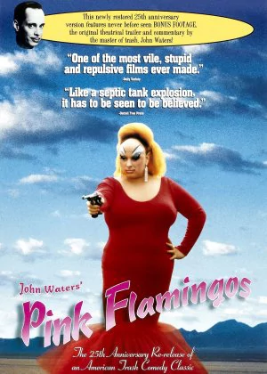 Pink Flamingos poster