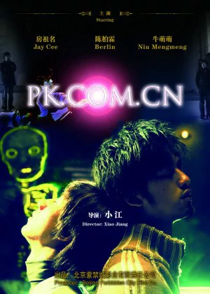 Pk.com.cn poster