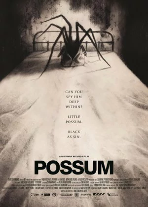 Possum poster