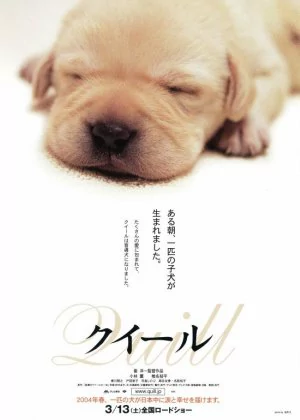 Quill: The Life of a Guide Dog poster