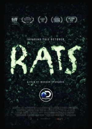 Rats poster