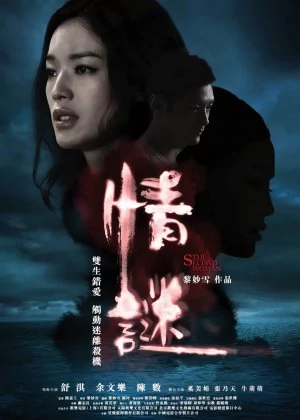 The Second Woman poster