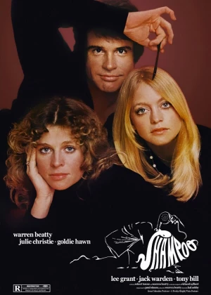 Shampoo poster